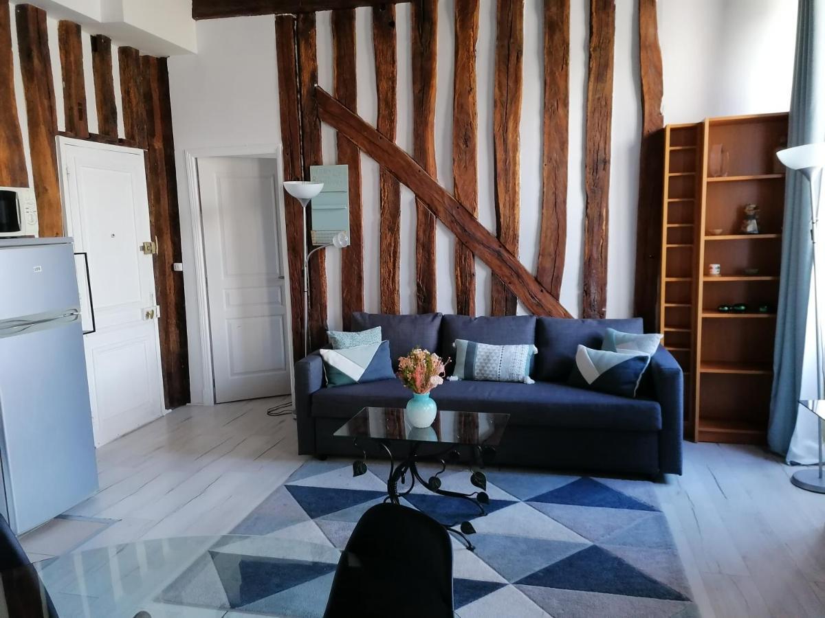 Evasion Autour De Poutres Et Pierres Plein Centre Apartment ออร์เลออง ภายนอก รูปภาพ