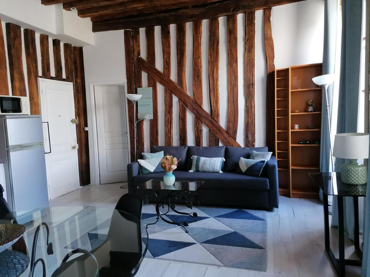 Evasion Autour De Poutres Et Pierres Plein Centre Apartment ออร์เลออง ภายนอก รูปภาพ